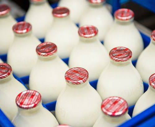 milk